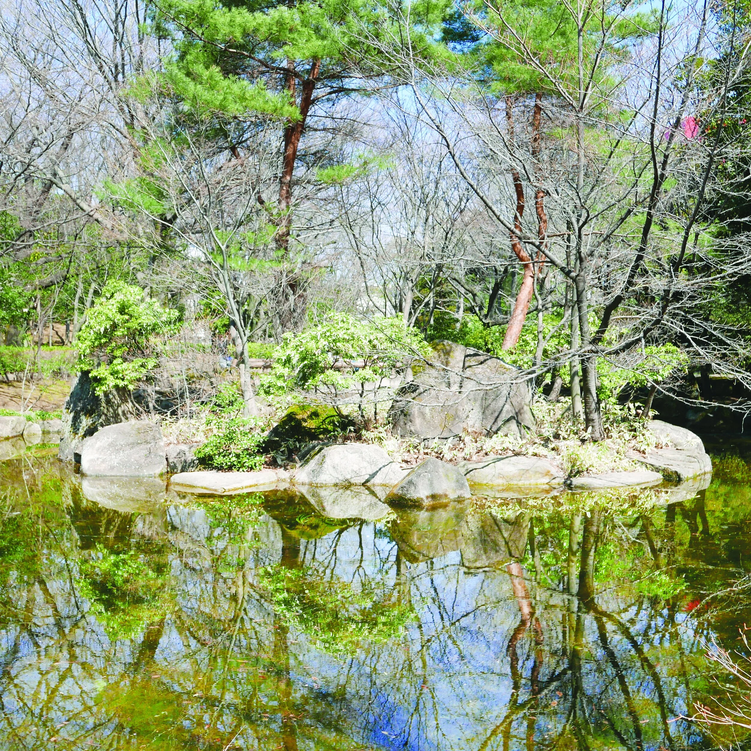 Organised scenery — Loh Xiang Yun